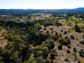 DJI_0038RESIZE